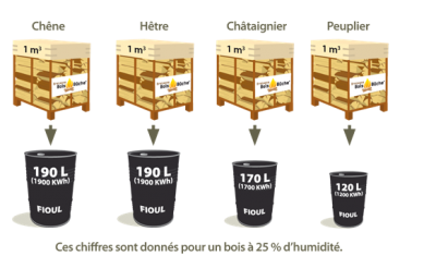 Pouvoir calorifique du bois